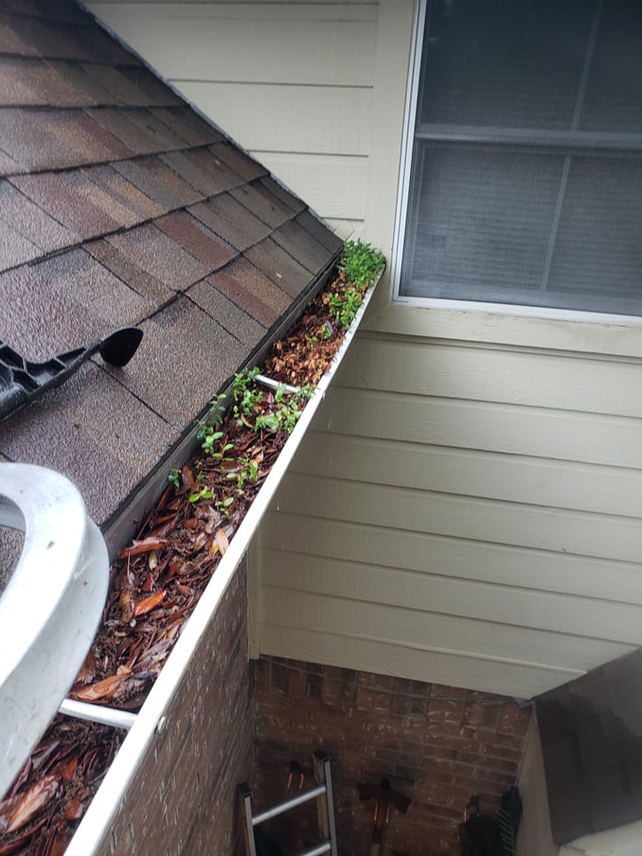Packed debris in gutter